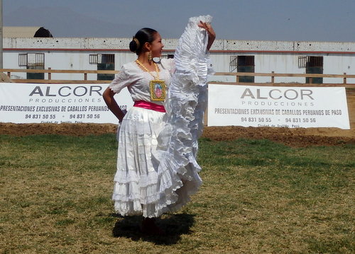 Peruvian Step Horse Show.